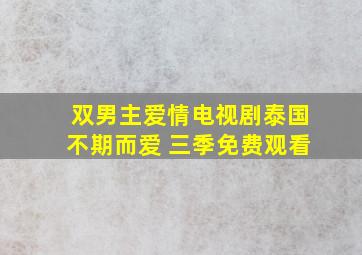 双男主爱情电视剧泰国不期而爱 三季免费观看